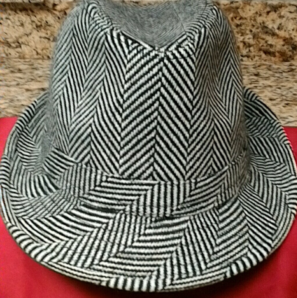 Chic Fedora Hat NWOT